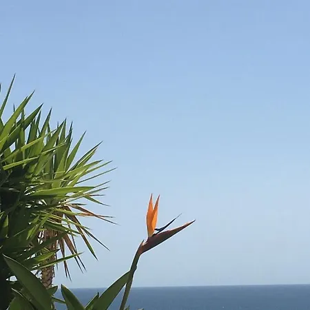 Beautiful With Terrace And Pools Estepona